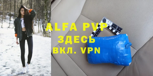 индика Новозыбков