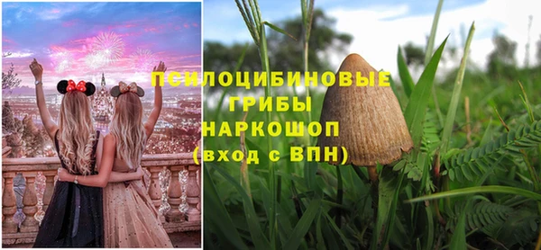 индика Новокубанск