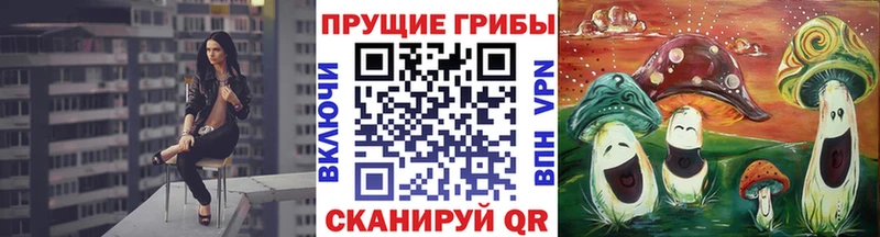 Галлюциногенные грибы Psilocybe  это клад  Яхрома 
